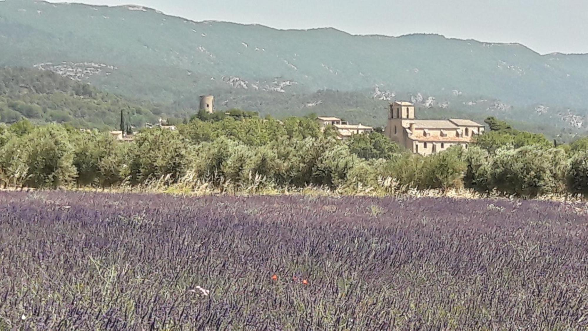 Les 3 Saisons Bed & Breakfast Cucuron Bagian luar foto